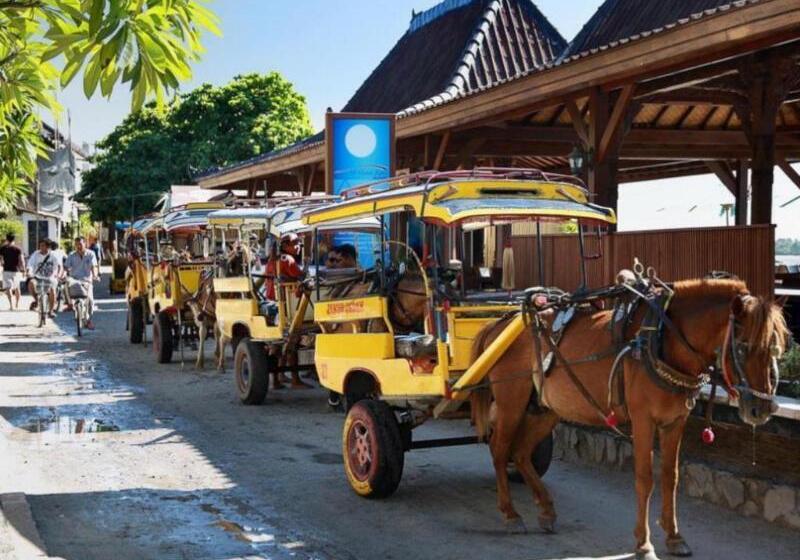 酒店 Pinkcoco Gili Trawangan   Constant Surprises   For Cool Adults Only