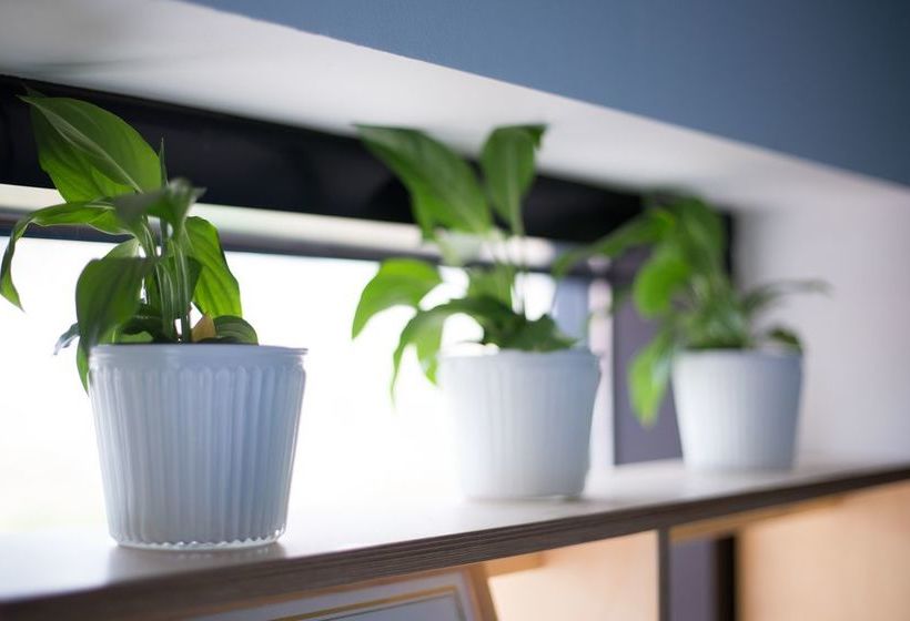 Pensão Hanso Residence Seoul