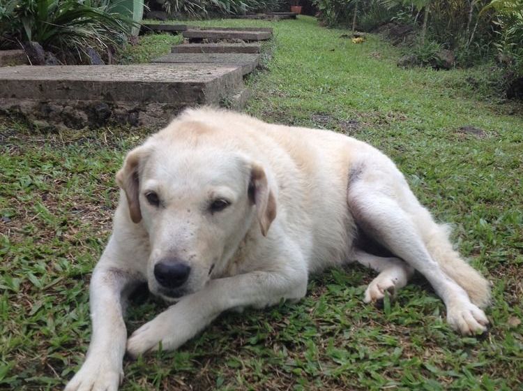 Tiavi Mountain Escape