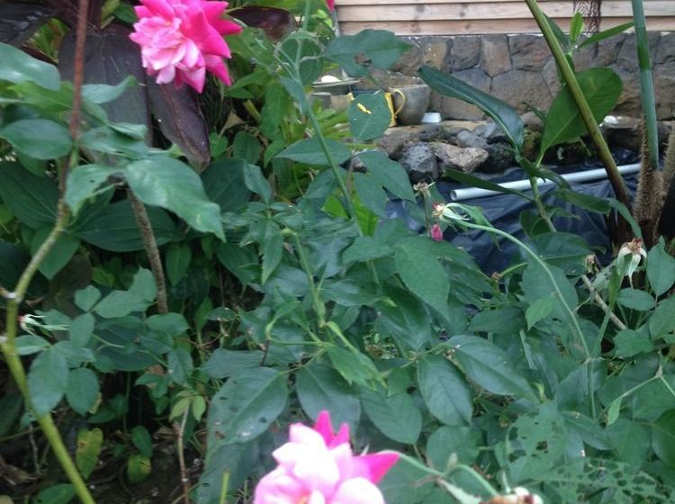 Tiavi Mountain Escape