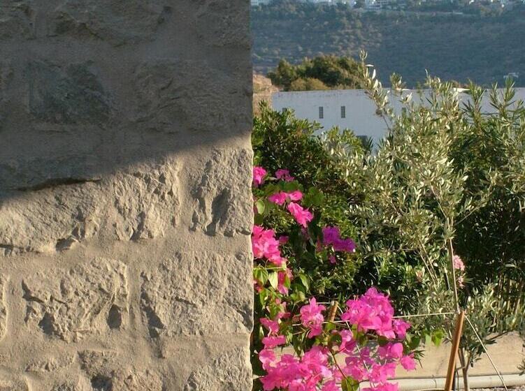 Villa Patmos Netia