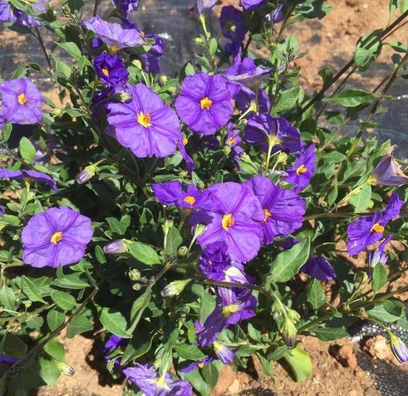 민박 Quinta Soria Moria