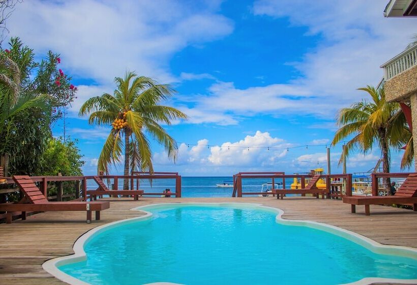 Coconut Tree West Bay