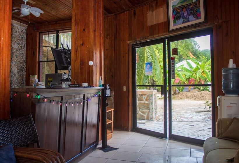 Coconut Tree West Bay