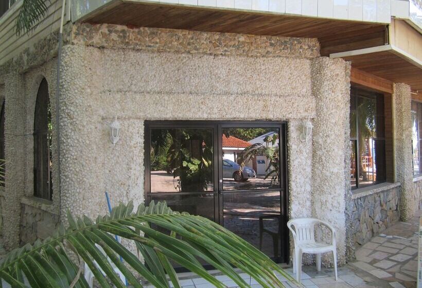 Coconut Tree West Bay