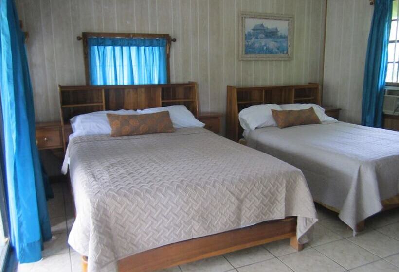 Coconut Tree West Bay