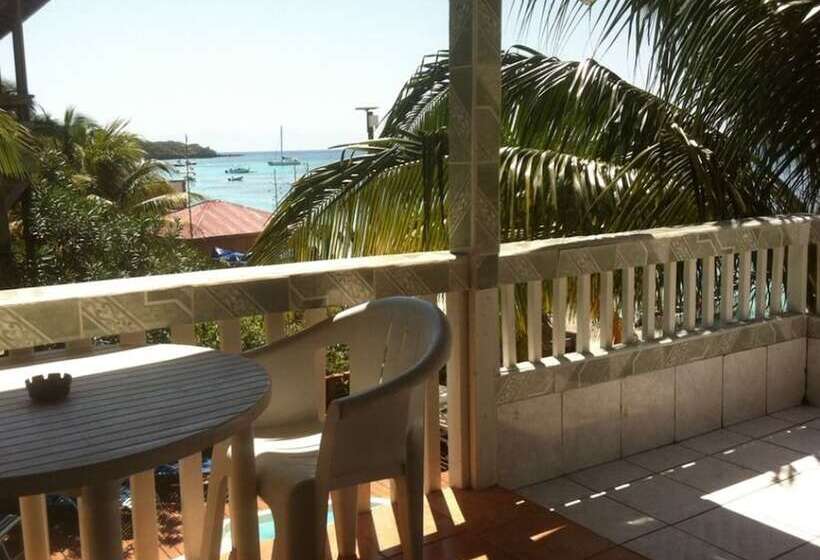 Coconut Tree West Bay