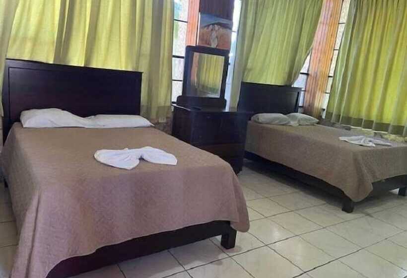 Coconut Tree West Bay