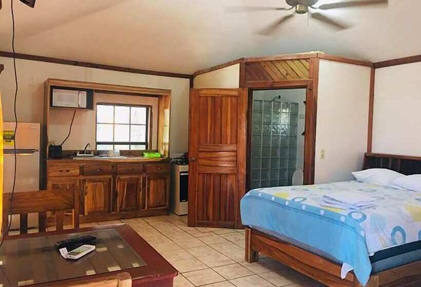 Coconut Tree West Bay