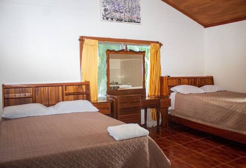 Coconut Tree West Bay