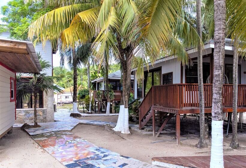 Coconut Tree West Bay