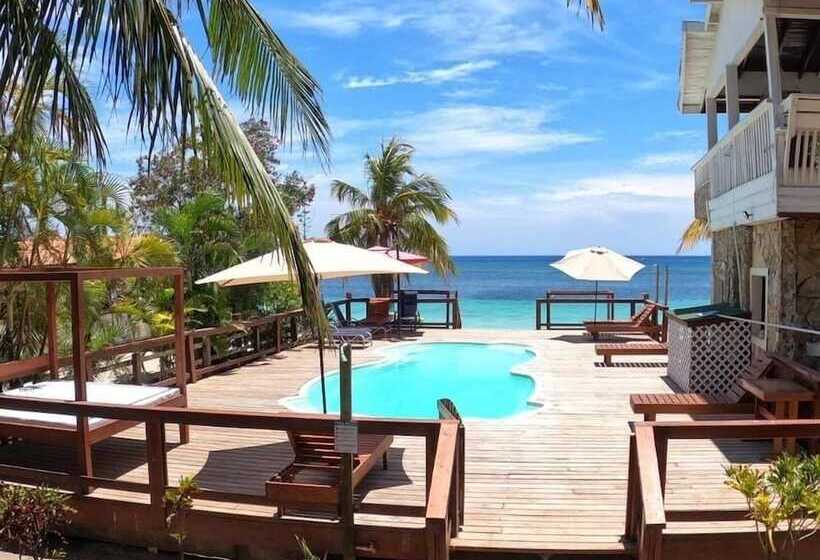 Coconut Tree West Bay