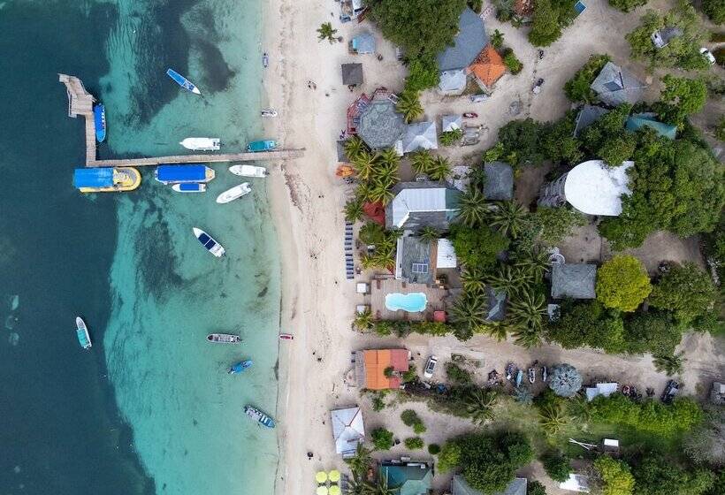 Coconut Tree West Bay