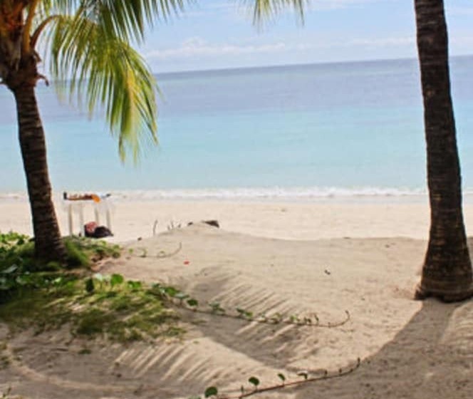 Coconut Tree West Bay