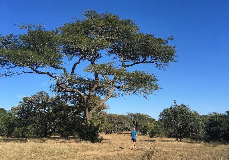ホテル Umkhumbi Lodge