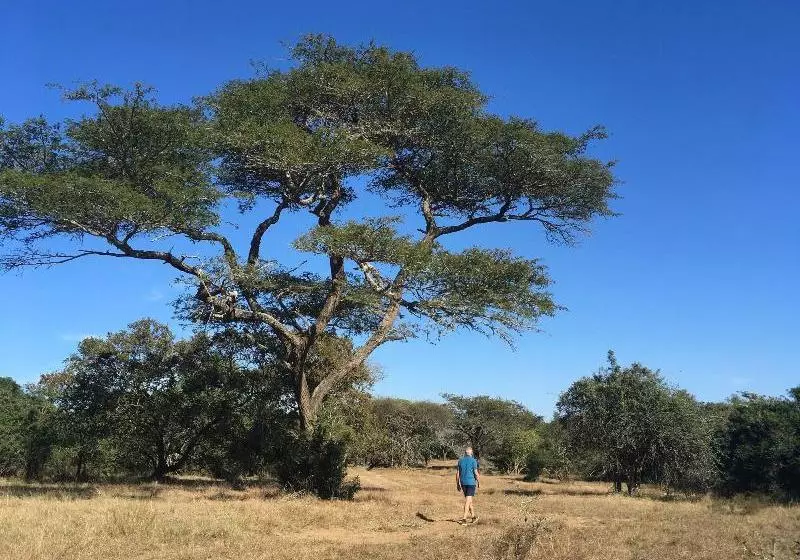 ホテル Umkhumbi Lodge