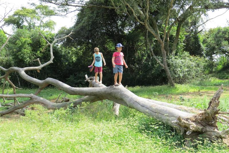 ホテル Umkhumbi Lodge