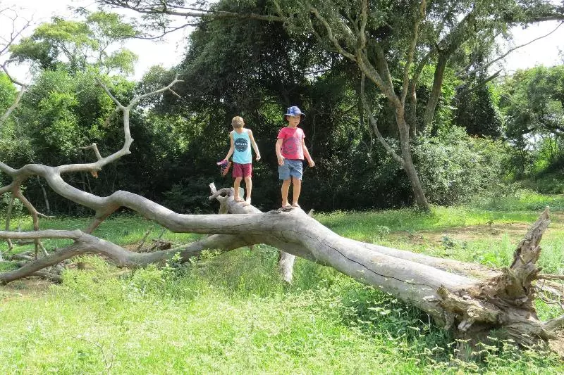 ホテル Umkhumbi Lodge