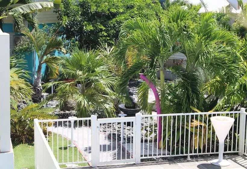 Majesty Palm