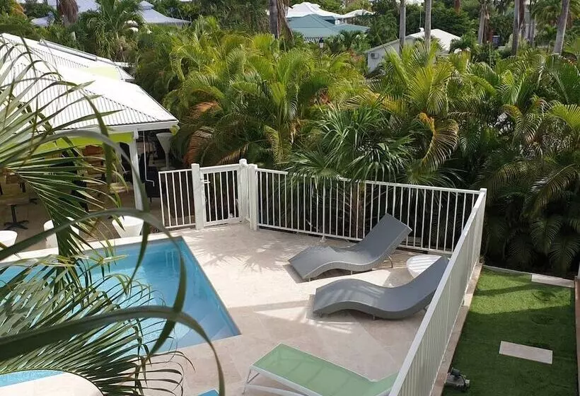 Majesty Palm