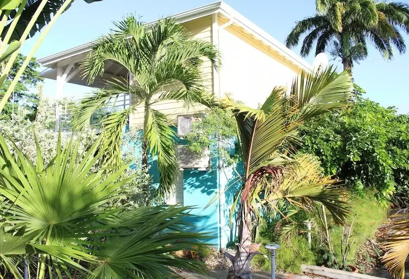 Majesty Palm