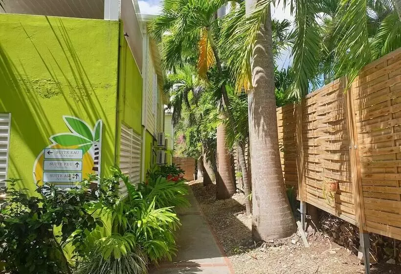 Majesty Palm