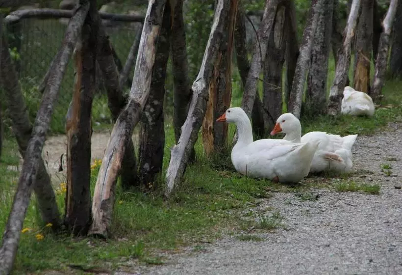 هتل Albergo Lago Verde