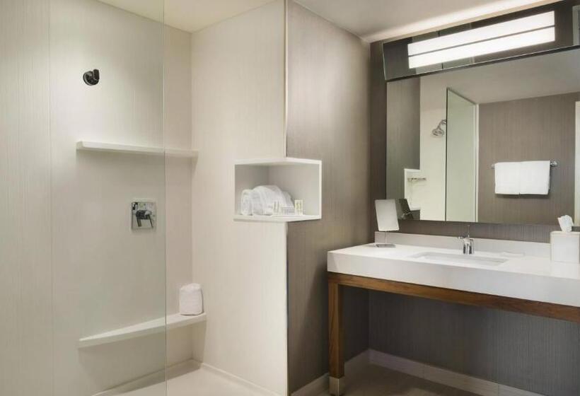 ホテル Dene & Conference Centre