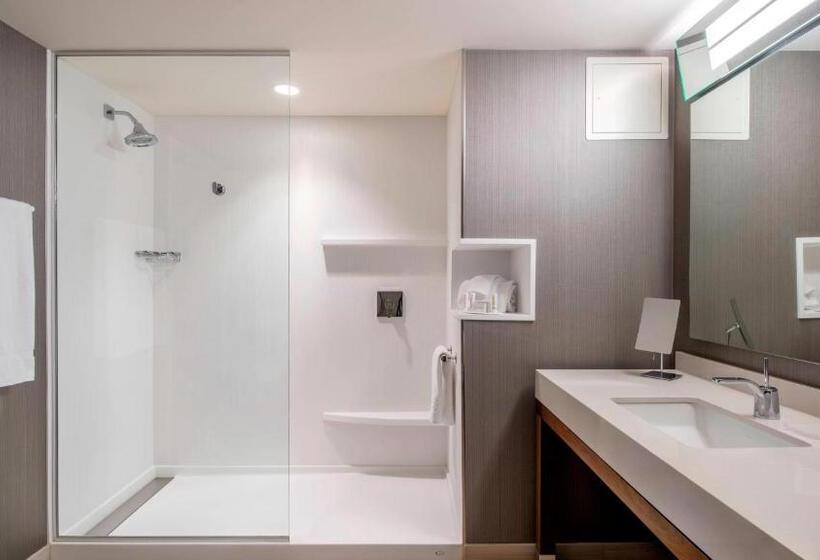 ホテル Dene & Conference Centre