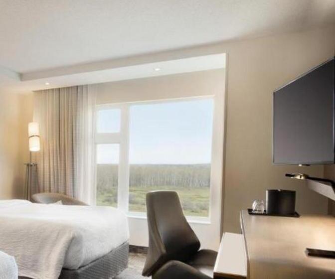 ホテル Dene & Conference Centre