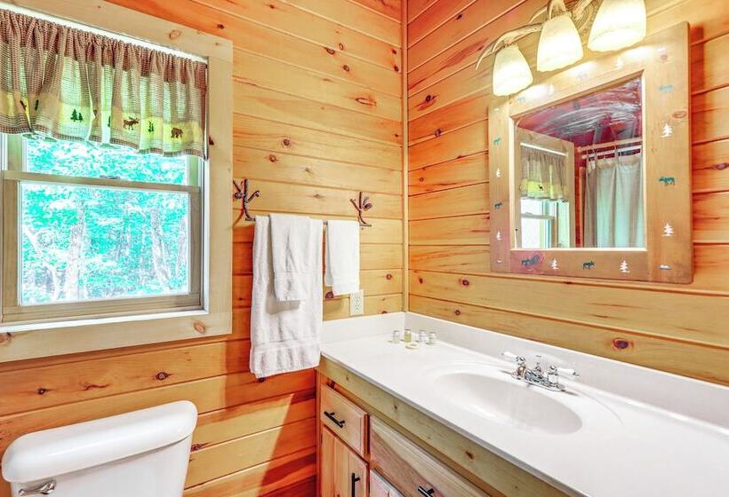 Beautiful Blue Ridge Cabin: Mountain & Lake Views!