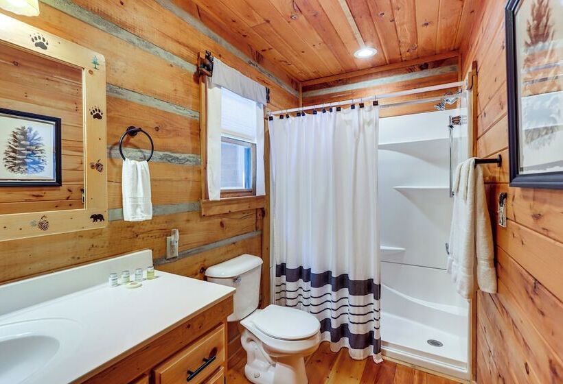 Beautiful Blue Ridge Cabin: Mountain & Lake Views!