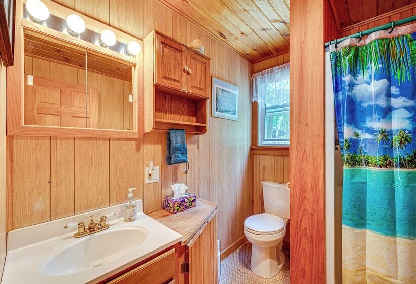 Denmark Waterfront Cabin W/ Dock & Charcoal Grill!