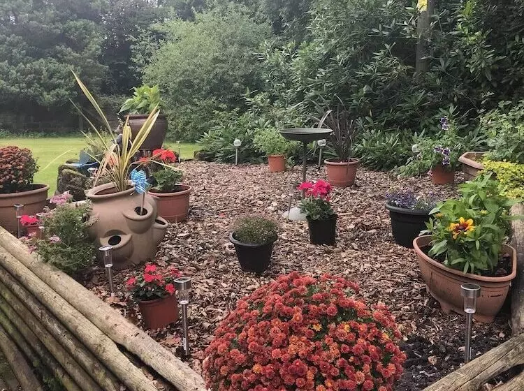 Hotelli Burleigh House