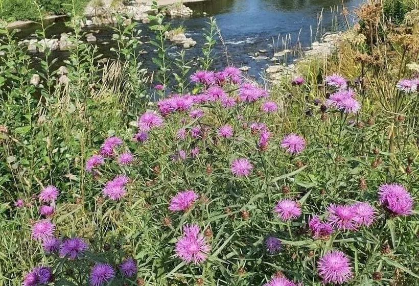 ホテル Hornshole Hideaway Caravan Hawick