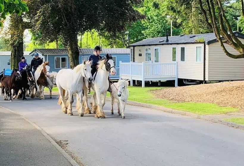 Hotelli Wl56 Haven Haggerston Castle Holiday Park