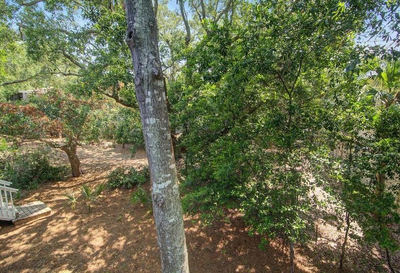 17 Sandcrab Court By Avantstay Newly Renovated Home In Beach Town!