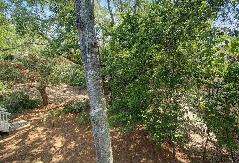 17 Sandcrab Court By Avantstay Newly Renovated Home In Beach Town!