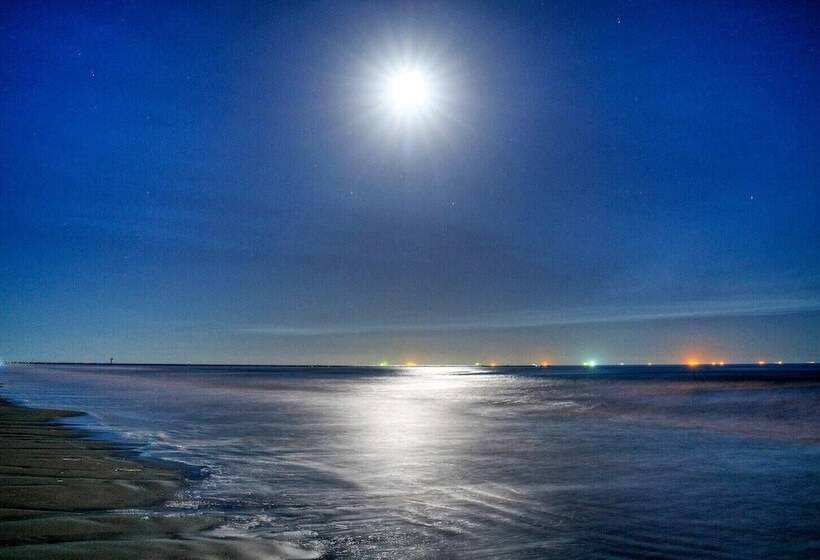 Near The Beach W/ Pool, Boat Parking Golf Cart Zone Agave House By Avantstay