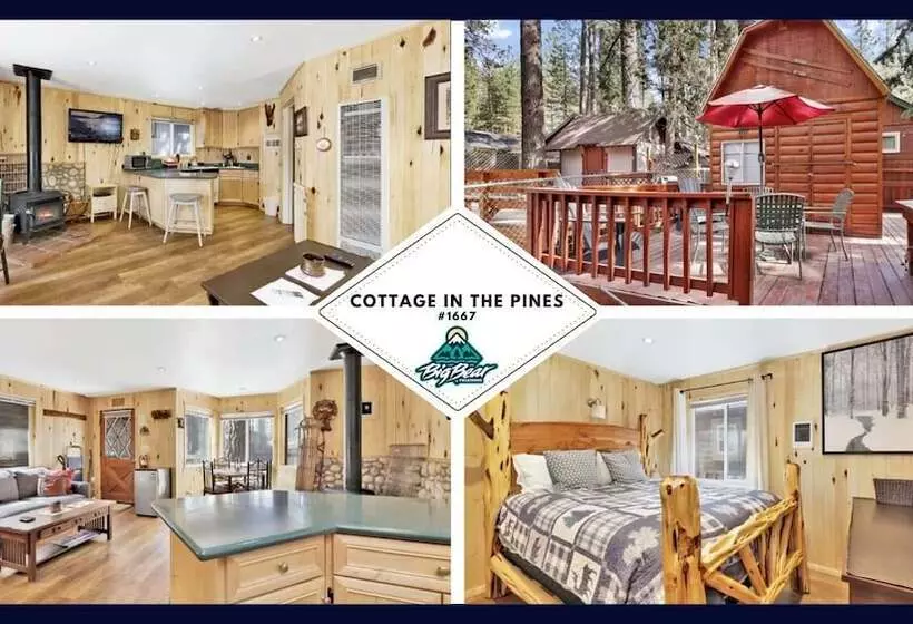 Cottage In The Pines #1667