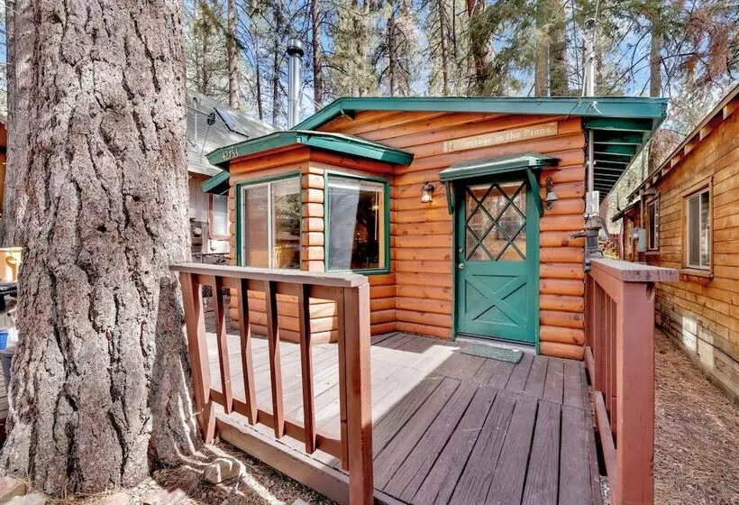 Cottage In The Pines #1667