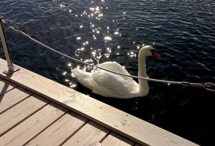 Отель The Goose Modern Retreat