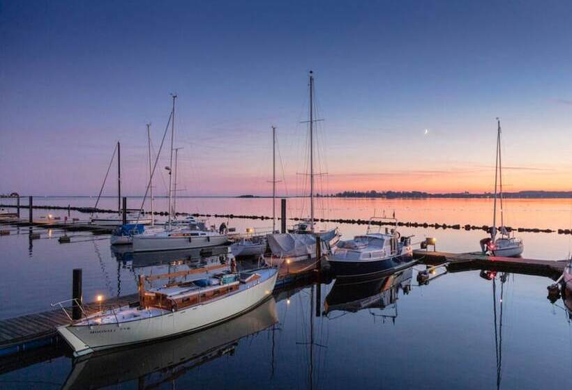 Отель The Goose Modern Retreat