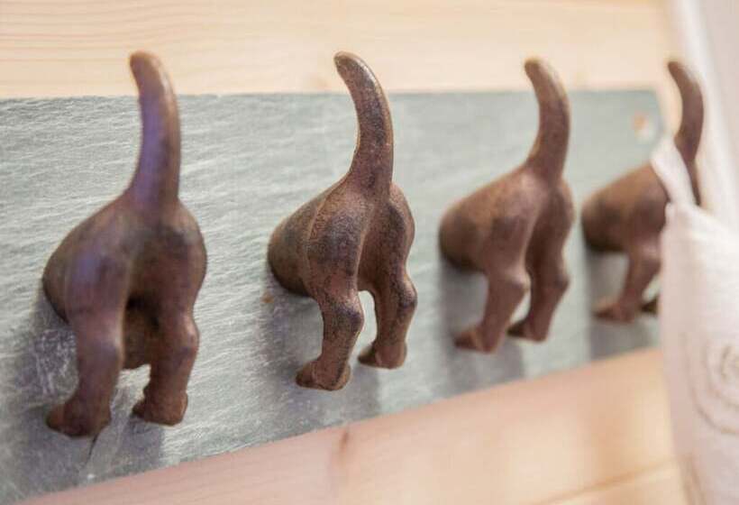 Отель The Goose Modern Retreat