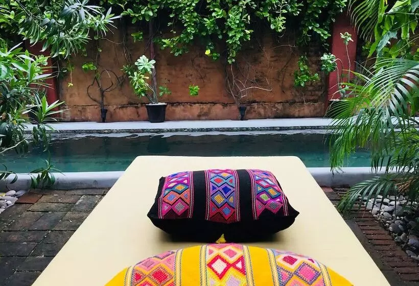 Aamiaismajoitus (B&B) Hacienda La Rusa