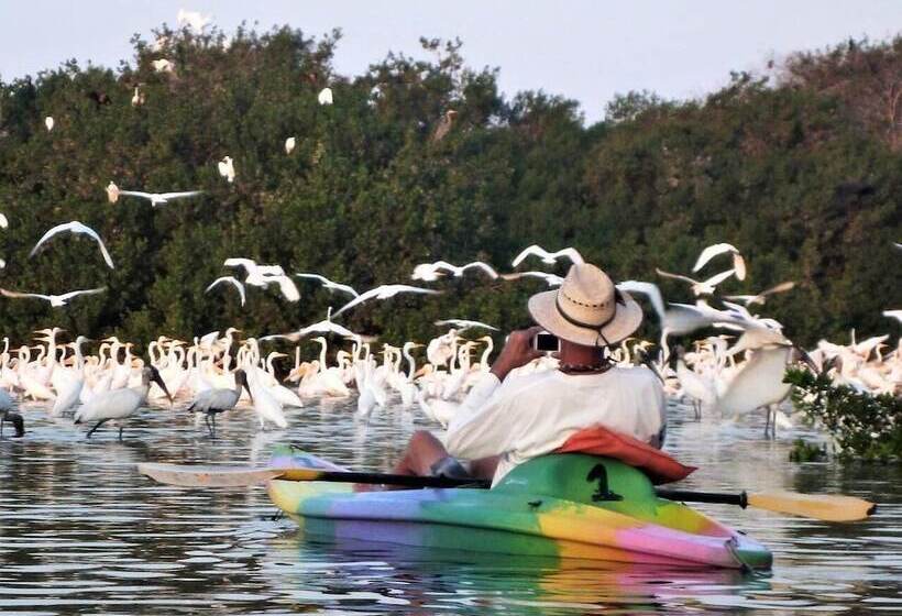 تختخواب و صبحانه Hacienda La Rusa