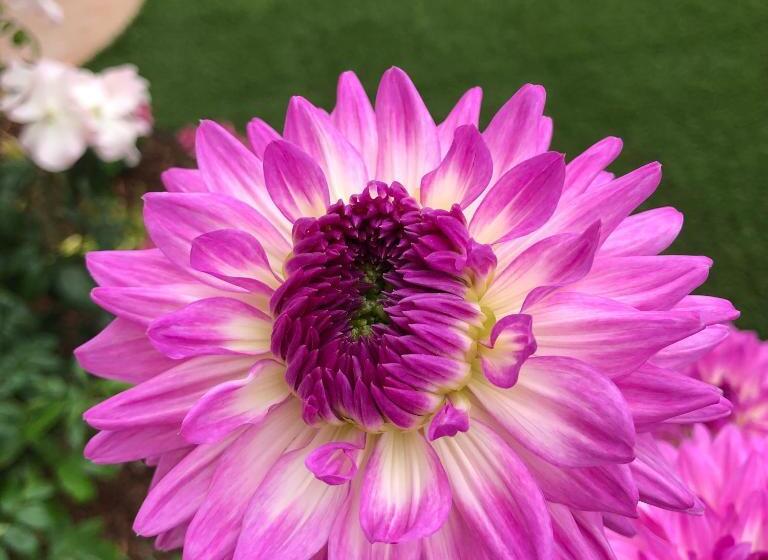 تختخواب و صبحانه Kate Stanton Inn