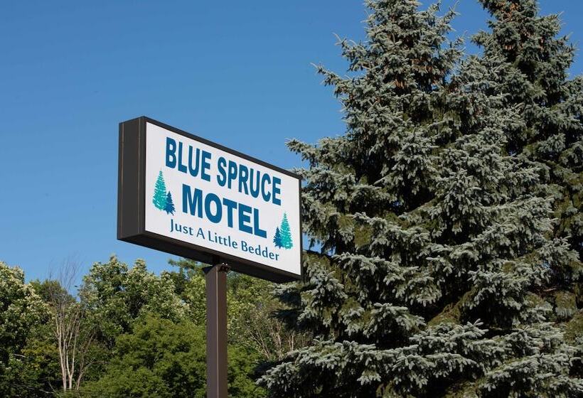 Blue Spruce Motel