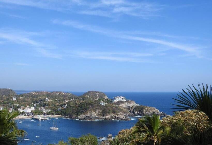 Отель Angel Del Mar