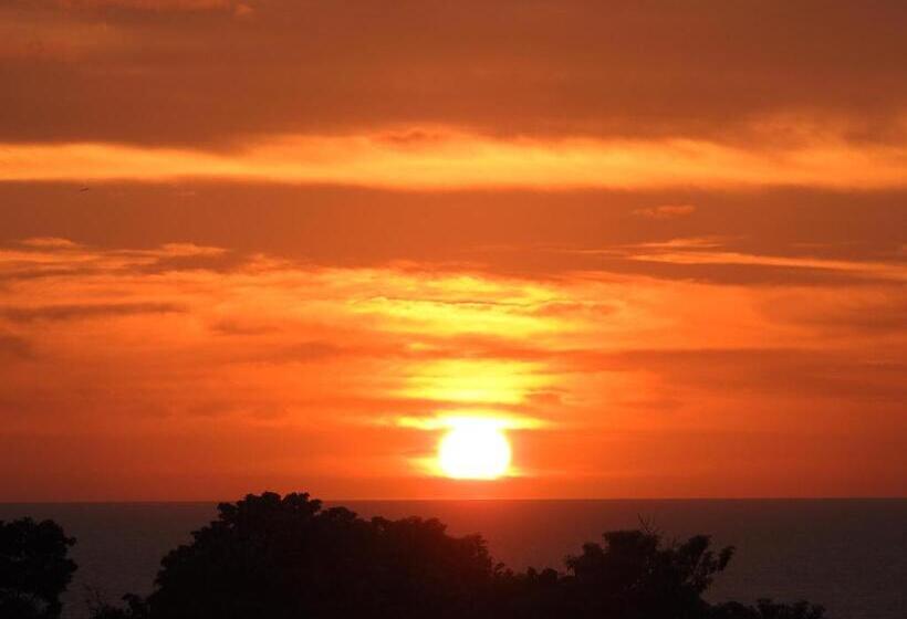 Отель Angel Del Mar